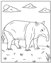 Tapir coloring pages for children