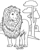 African lion coloring pages sheets