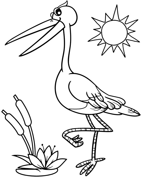 Bird coloring pages with a stork