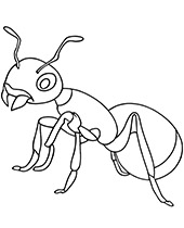 Ant coloring sheet with an insect