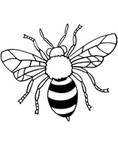 Bee coloring sheet with a flying insect
