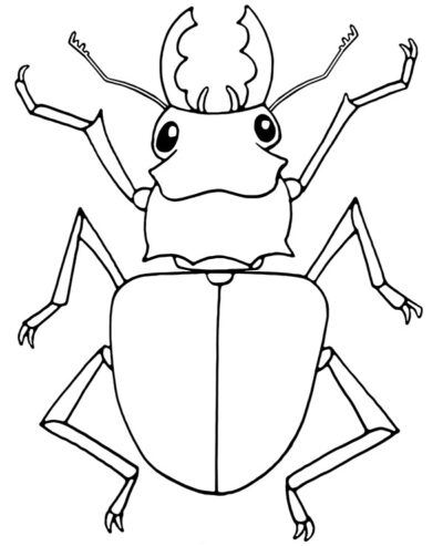 Beetle realistic coloring page