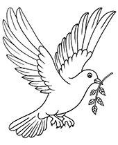 Pigeon bird coloring sheet to print