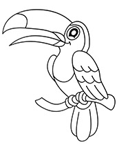 Toucan bird coloring page to print