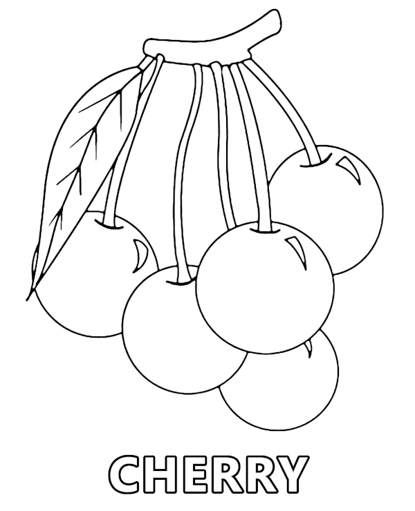 Tasty cherries coloring page to print garden fruit