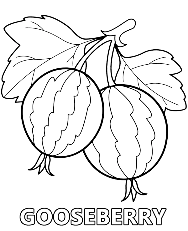 Gooseberry coloring page for children with garden fruit 