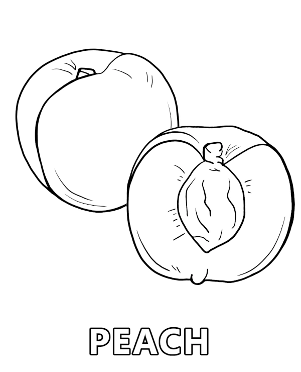 Peach coloring page for children with garden fruit