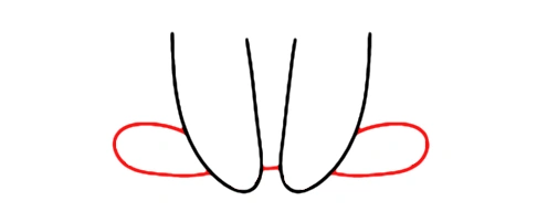 How to draw a rabbit tutorial - step 2 back paws