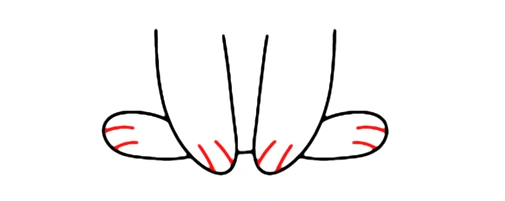 How to draw a rabbit tutorial - step 3 claws