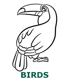 Birds coloring pages category cover