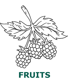 Fruits coloring pages category cover