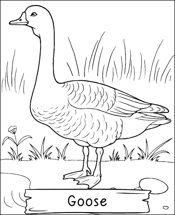 Goose by the water coloring page bird