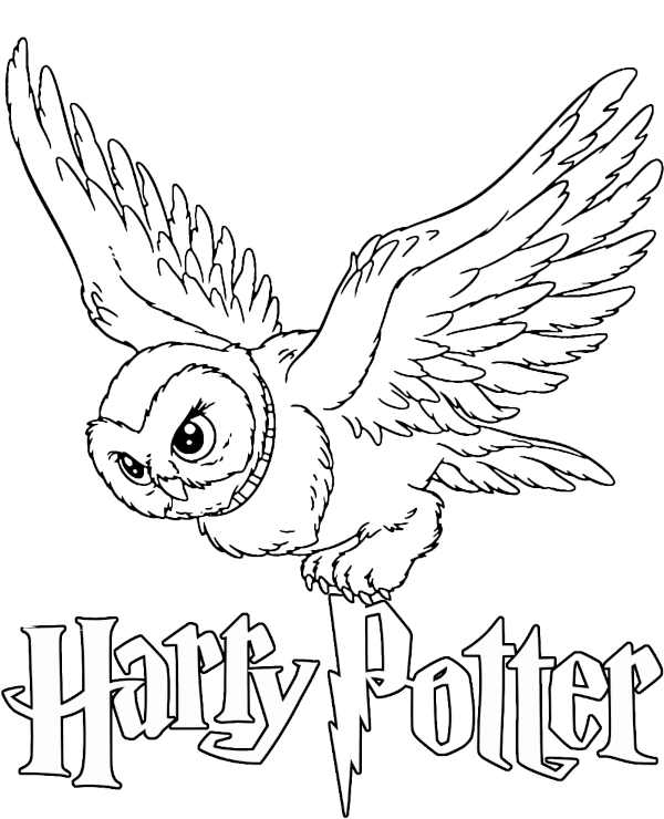 Owl Hedwig Coloring Page Harry Potter