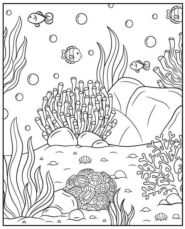 Coral reef coloring page underwater life