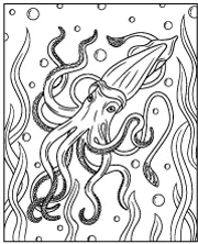 Giant squid coloring page for children