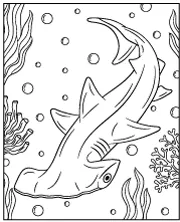Hammerhead shark coloring page for children