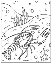 Shellfish lobster coloring page for children
