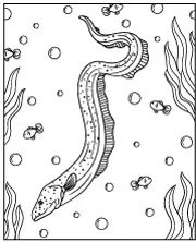 Electric eel coloring page for children