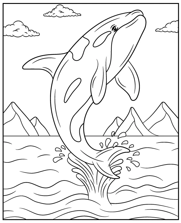 Killer whale coloring page to print