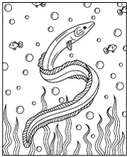 Moray eel coloring page for children