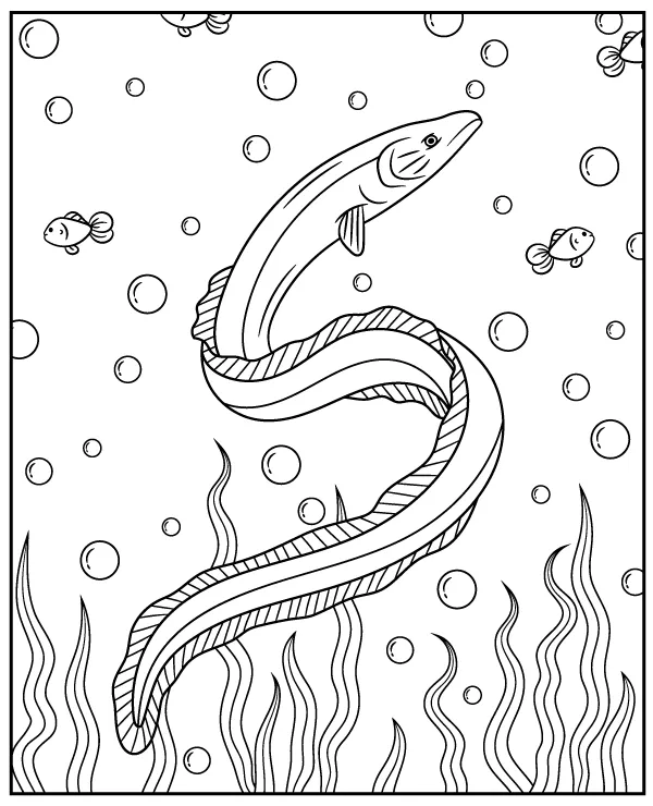Coloring page moray eel swimming in the sea