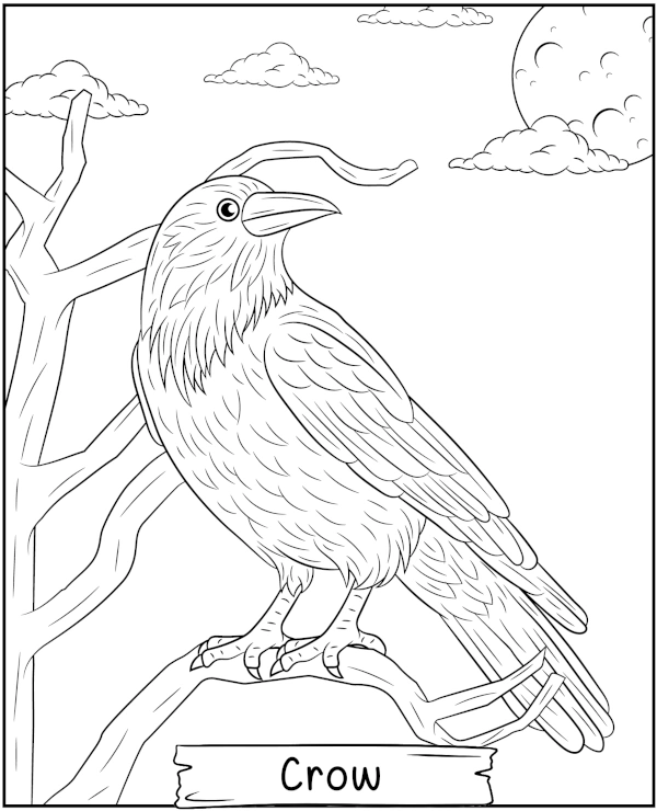 Crow sitting on a branch coloring page bird