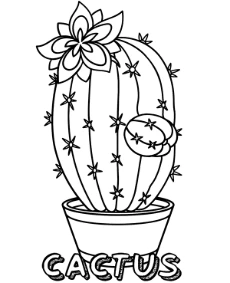 Blooming cactus coloring page to print