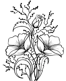 Bunch of field flowers to color