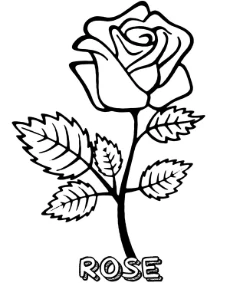 Single rose flower coloring page to print