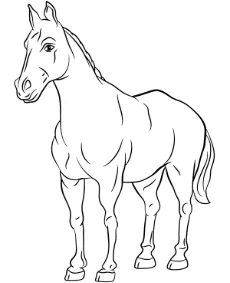 Stallion coloring sheet to print