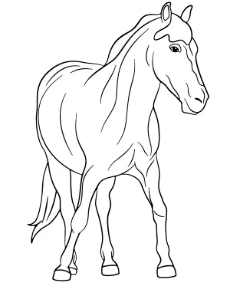 Horses coloring pictures