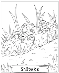 Printable Shiitake coloring page japanese mushroom