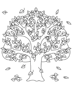Autumn leaves falling from a tree