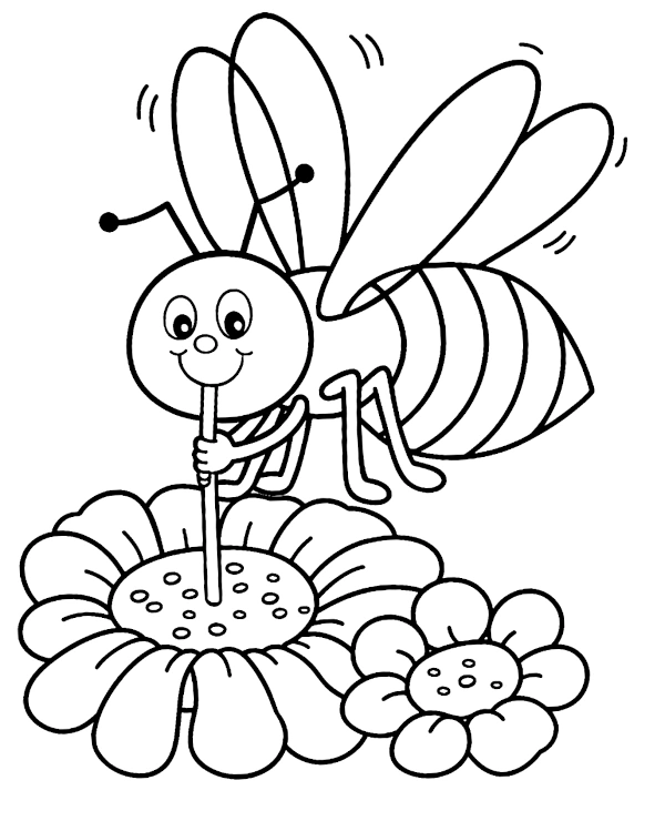 Flower pollination coloring page for children