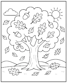 Oak tree, leaves and acorns coloring page