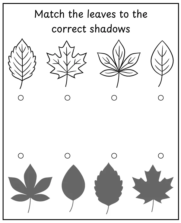 Match the leaves with their shadows - fall activity for kids