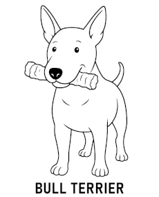 Printable bull terrier dog coloring page for children