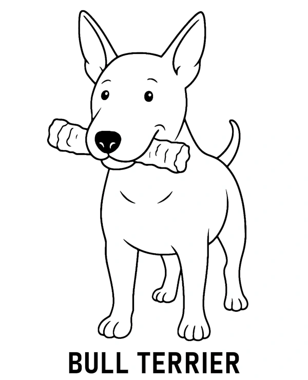 Bull terrier dog coloring page for children