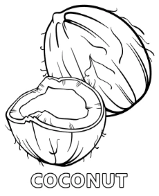 Coconut coloring page for children