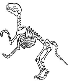 Dinosaur's skeleton to print and color for free