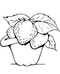 Strawberries in a pot coloring page fruit