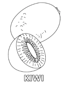 Printable kiwi fruit coloring sheet for kids