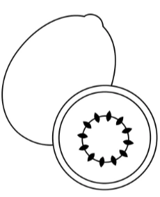 Kiwi simple coloring page for a child