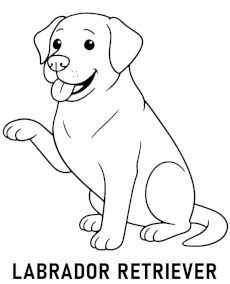Labrador retriever dog coloring page printable