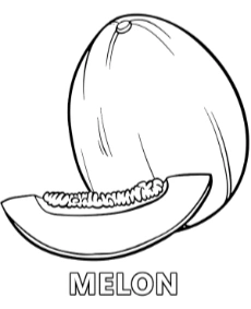 Printable melon fruit coloring sheet for kids