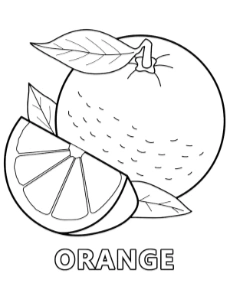 Printable orange coloring sheet fruits
