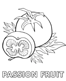 Passion fruit coloring page for kids