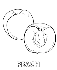 Printable peach coloring sheet fruits