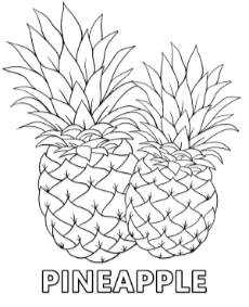 Printable pineapple coloring sheet fruits