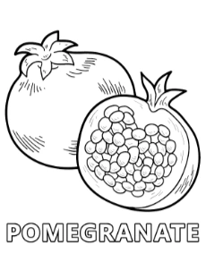 Printable pomegranate coloring sheet fruits